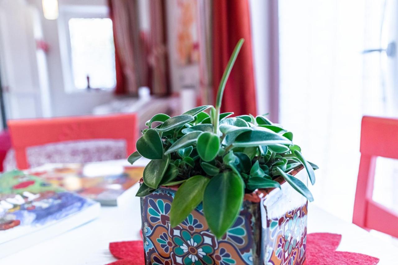 Casa Novecento Bed & Breakfast Feltre Ngoại thất bức ảnh